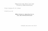 NOTAS DE AULAS DE - ft.unicamp.brlfavila/TT416/capitulo5.pdf · 5.3- Interpretação Probabilística da Função de Onda . 5.4- Equação de Schrödinger Independente do Tempo . 5.5-