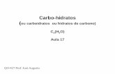 Carbo-hidratos 17 Carboidratos.pdf · interconvertidas (próximo slide) ... Cadeias longas de ácidos graxos de triacilgliceróis são usado para estocagem de energia por longos períodos