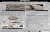 Para lá das cinzas - Universidade de Coimbra · 2015-06-02 · A amostra analisada é constituída ... pertencentes2.Aspeto geral da amostra osteológicos analisada do ambiente ...