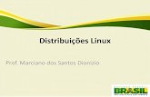 Distribuições Linux · O sistema tornou-se ... • Fedora antigamente chamado Fedora Core é um sistema operacional que tem por base o Linux, ... Kurumin, BrDesktop e Ubuntu. ...