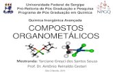 Universidade Federal de Sergipe Pró-Reitoria de Pós ... · Diferentemente dos compostos de coordenação, os compostos organometálicos de metais d têm relativamente poucas configurações