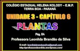 Professora Leonilda Brandão da Silva · PROBLEMATIZAÇÃO •Você conhece exemplos de briófitas?E exemplos de pteridófitas? •Conhece um musgo? •Em que tipos de ambientes é