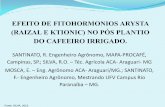 SANTINATO, R. Engenheiro Agrônomo, MAPA-PROCAFÉ, Téc. Agrícola ACA- Araguari … · 2013-11-06 · O delineamento experimental foi de blocos ao acaso com quatro repetições e