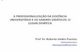 A PROFISSIONALIZAÇÃO DA DOCÊNCIA UNIVERSITÁRIA E …limaribeiro.net/File/Content/Document/pt-br/didatica-do-ensino... · estado de Minas Gerais, a partir da análise das pesquisas