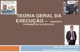 TEORIA GERAL DA EXECUÇÃO - integrawebsites.com.br · TEORIA GERAL DA EXECUÇÃO ... executivos independentemente de averiguação judicial, quanto à efetiva existência do direito