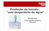 Produção de tomate “sem desperdício de água” · do solo Curva típica de produtividade relacionado com a umidade do solo em plantas sensíveis a hipoxia ... Medem a tensão