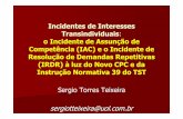 Incidentes de Interesses Transindividuais o Incidente de ... · Instrução Normativa 39 do TST . Sumário 1. Conflitos de Interesses Transindividuais 2. Importância da Uniformização