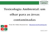 Toxicologia Ambiental: um olhar para as áreas · Avaliação de risco é a caracterização sistemática científica dos potenciais efeitos adversos à saúde resultantes de exposições