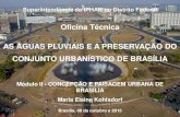 Oficina Técnica AS ÁGUAS PLUVIAIS E A PRESERVAÇÃO DO ... · Art. 4°- A escala residencial, proporcionando uma nova maneira de viver, própria de Brasília, está configurada