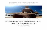DIREITO PROCESSUAL DO TRABALHO - xa.yimg.comxa.yimg.com/kq/groups/24226876/605324545/name/Livro+-+PROCESSO+DO... · da Faculdade de Direito da Universidade Federal do Paraná (UFPR),