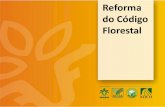 Reforma do Código Florestal - noticiasagricolas.com.br · Resumo da votação do Código Florestal na Câmara 25/04/2012 Principais alterações do Novo Código Florestal na Câmara
