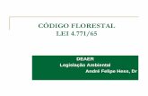 CÓDIGO FLORESTAL LEI 4.771/65 - jararaca.ufsm.brjararaca.ufsm.br/websites/deaer/download/Andre Hess/Codigoflorestal... · CÓDIGO FLORESTAL LEI 4.771/65 DEAER Legislação Ambiental