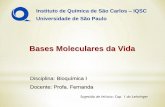 Bases Moleculares da Vida - graduacao.iqsc.usp.brgraduacao.iqsc.usp.br/files/Bases-Moleculares.pdf · Bioquímica Estudo da química da vida. Sobrepõe-se a outras disciplinas como