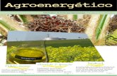 Informativo da Embrapa Agroenergia Edição nº 21 28/2/2011 · Na natureza nada se perde, nem tampouco se cria, tudo se transforma. É o fruto. É a energia, o substrato, o produto.