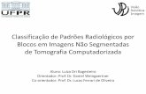 Classificação de Padrões Radiológicos por Blocos em ... · • Método de classificação de blocos de imagens de TCAR que pode ser integrado a uma ferramenta de auxílio ao diagnóstico