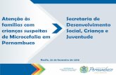 Secretaria de de Microcefalia em Juventude - sigas.pe.gov.br · Painel 1: Conhecendo o Surto de Microcefalia ... Identificar família extensa da gestante para fortalecer ou construir