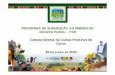 PROGRAMA DE SUBVENÇÃO AO PRÊMIO DO SEGURO … · 10 de junho de 2010 ... DE PROTEÇÃO Riscos Agrícolas Instrumentos de Proteção ... PROGRAMA DE SUBVENÇÃO AO PRÊMIO DO SEGURO