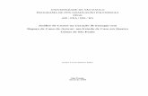 Análise de Custos na Geração de Energia com Bagaço de Cana ... · açúcar: um estudo de caso em quatro usinas de São Paulo, 2009, 175p. Dissertação de mestrado - Programa