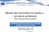 Efeitos do mercúrio na saúde e no meio ambiente Hg Eloisa Dutra... · I Seminário Saúde Sem Mercúrio em Brasília Brasília, 16 de abril de 2013 . Mercúrio •Século IX ...