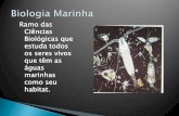 Ramo das Ciências Biológicas que estuda todos os seres vivosibimm.org.br/wp-content/uploads/2018/01/Aula-Biologia-Marinha... · Slide 1 Author: Edris Keywords: ibimm Created Date: