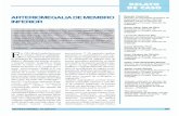 ARTERIOMEGAUADE MEMBRO INFERIOR - Jornal Vascular ...jvascbras.com.br/revistas-antigas/2000/6/04/2000_a16_n6_ok-4.pdf · translombar, cunhou 0 termo arteriomegalia, termo este adotado
