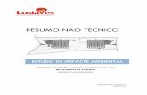 RESUMO NÃO TÉCNICO - Agência Portuguesa do Ambientesiaia.apambiente.pt/AIADOC/AIA2699/RNT2699.pdf · ... nomeadamente a unidade de incubação e as instalações avícolas de produção