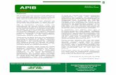 APIB Dezembro 2006 - APIB - Associação Portuguesa de ... · ... Produtora de Componentes para Calçado SA. ... dos Negros de Fumo, em ordem a ... cerca de 87% da sua produção