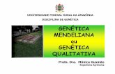 GENÉTICA MENDELIANA ou GENÉTICA QUALITATIVA 3 G Mendeliana.pdf · Usado para mostrar padrões de hereditariedade com base em um par de genes, dois pares ou mais. Profa. Mônica