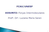 FCAV/UNESP ASSUNTO: Forças Intermoleculares a. Dra ... · PROPRIEDADES FÍSICAS E FORÇAS INTERMOLECULARES As temperaturas de fusão e ebulição dos compostos orgânicos normalmente
