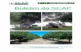 Boletim da SCAP 7 _8.pdf · na área de regadio de Alqueva, estão a provar que a revolução verde é possível, através do desenvolvimento de uma agricultura sustentável, que