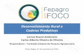 Desenvolvimento Rural e Cadeias Produtivas - fepagro.rs.gov.br - Desenvolvimento Rural... · • Diferença em relação a abordagem de cadeias e das teorias ... • Metodologia de