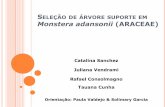 SELEÇÃO DE ÁRVORE SUPORTE EM Monstera adansonii …ecologia.ib.usp.br/curso/2012/PDF/APPO3-3.pdf · Comportamento do indivíduo . Comportamento: - Bases fisiológicas e morfológicas