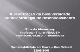 A valorização da biodiversidade como estratégia de ...ww28.itau.com.br/ImprensaNet/img/Apresentacao_Abramovay.pdfA valorização da biodiversidade ... fontes de pressão sobre as