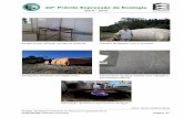 22o Prêmio Expressão de Ecologia - expressao.com.br · Respeitar o tempo de fermentação do esterco para a aplicação nas pastagens e lavouras anuais Q17: Descreva detalhadamente