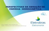 PERSPECTIVAS DA GERAÇÃO DE ENERGIA …cerpch.unifei.edu.br/wp-content/uploads/2016/05/WCN-002.pdf · Exploração técnica, comercial e financeira do potencial hidrocinético brasileiro