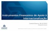 Instrumentos Financeiros de Apoio à Internacionalização · (Ordenador) Banco do Vendedor ... - Banco Nacional de Investimentos . ÁFRICA DO SUL - Banco Mercantile . ... GABINETE