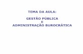 TEMA DA AULA: GESTÃO PÚBLICA E ADMINISTRAÇÃO …antigo.enap.gov.br/downloads/ec43ea4fGestao_publica_administracao... · A crise atual da burocracia é vinculada sim a seus problemas