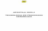 APOSTILA ENADE Processos gerenciais 2009 - UNIP - Inícioinper-tec.com.br/enade2009/processos_gerenciais_20092.pdf · APOSTILA FORMAÇÃO GERAL E ESPECÍFICA (TECNOLOGIA EM PROCESSOS
