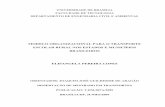 MODELO ORGANIZACIONAL PARA O TRANSPORTE …repositorio.unb.br/bitstream/10482/4184/1/2009_ElisangelaPereira... · iii FICHA CATALOGRÁFICA LOPES, ELISANGELA PEREIRA Modelo Organizacional