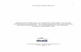 PROGRAMA BRASIL ALFABETIZADO/2003: ANÁLISE DOS RESULTADOS DE ALFABETIZAÇÃO DE … · 2017-04-03 · alfabetização de um grupo de professores ... desenvolvido em forma de projeto