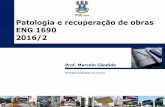 Patologia e recuperação de obras ENG 1690 2016/2professor.pucgoias.edu.br/SiteDocente/admin/arquivosUpload/17831/... · 2/26 As manifestações a seguir podem indicar a existência