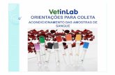 ORIENTAÇÕES PARA COLETA - vetinlab.com.br · Coagulação do sangue Para se entender a necessidade de uma ... é formado a protrombina, que depois se transforma em ... usar na mesma