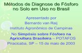 Métodos de Diagnose de Fósforo no Solo em Uso no Brasilbrasil.ipni.net/ipniweb/region/brasil.nsf... · 2013-06-04 · Bernardo van Raij . Instituto Agronômico de Campinas . ...