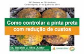 Como controlar a pinta preta com redução de custos · grade de inseticidas, acaricidas, fungicidas da produÇÃo integrada dos citros pic brasil Elaborada pelo Comitê de Agrotóxicos