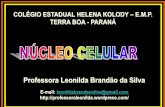 Professora Leonilda Brandão da Silva · •Por isso, a célula-ovo possui 46; em cada par de homólogos, um foi herdado da mãe e outro do pai.