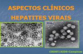 ASPECTOS CLÍNICOS HEPATITES VIRAIS - Campinas-SP · • 34 milhões com Cirrose. ... Biopsia hepática avalia condicão do fígado. ... Slide 1 Author: Prefeitura Municipal de Hortolândia