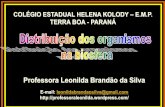 Professora Leonilda Brandão da Silva · A biosfera pode ser dividida em biomas, grandes ... das regiões mais frias para as ... todos os biomas sofreram a ocupação humana e parte