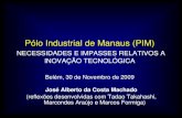 Pólo Industrial de Manaus (PIM) - ppgeconomia.ufpa.br · MODELO 2: SOLUÇÕES DE MERCADO PARA DESAFIOS REGIONAIS/NACIONAIS TRÊS MODELOS (Cont.) Um conjunto de Projetos Estruturantes