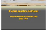 A teoria genética de Piaget - stoa.usp.brstoa.usp.br/podo/files/672/3519/Aula+4+-+A+Teoria+Genética+de... · estrutura cognitiva são, segundo Piaget, assimilação, acomodação