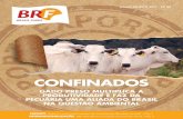 CONFINADOS - brasilfoods.com · NA qUeSTãO AmBIeNTAL Pág. 12 eSpOrTe_ Sadia é a nova patrocinadora da Confederação Brasileira de Judô – Pág. 3 ... durante palestra os fatores